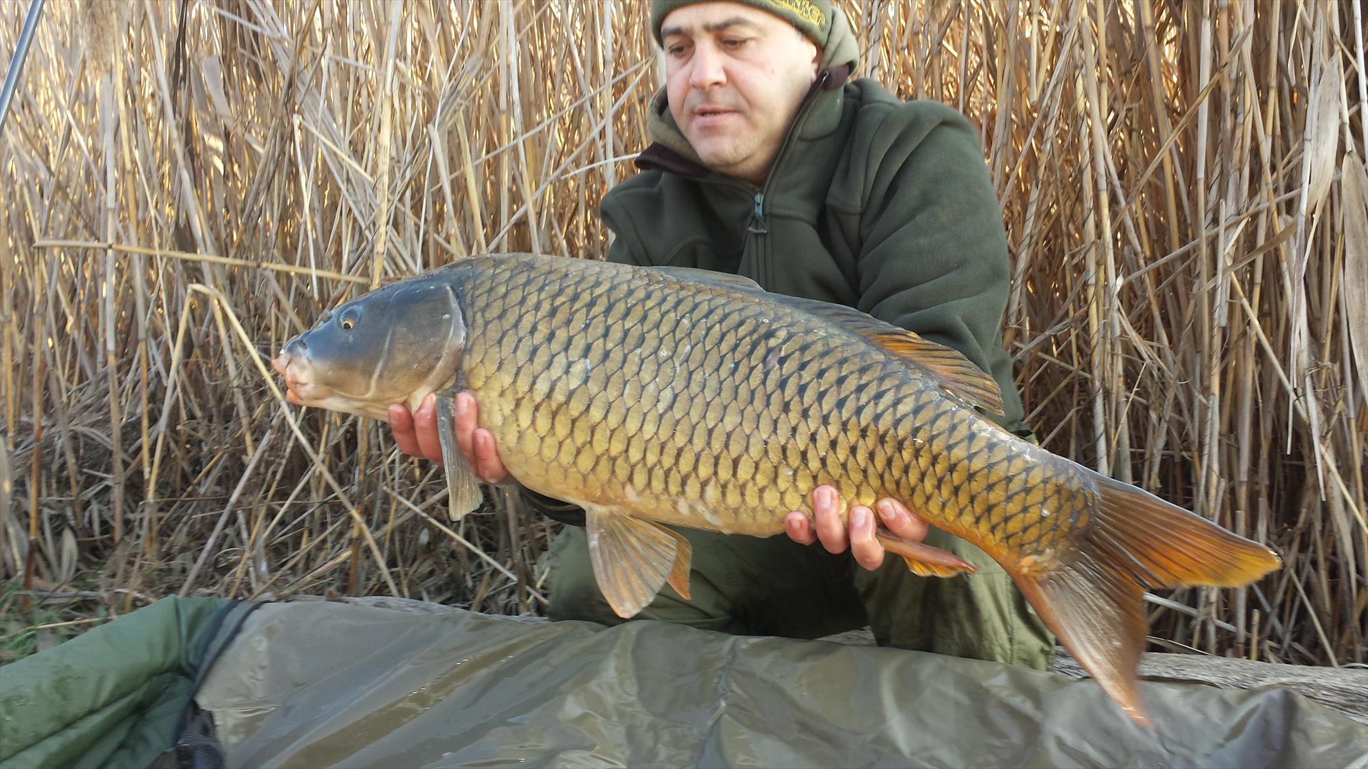 Tancabesti 14 - 16 mar. - 2014-03-15-081238.jpg